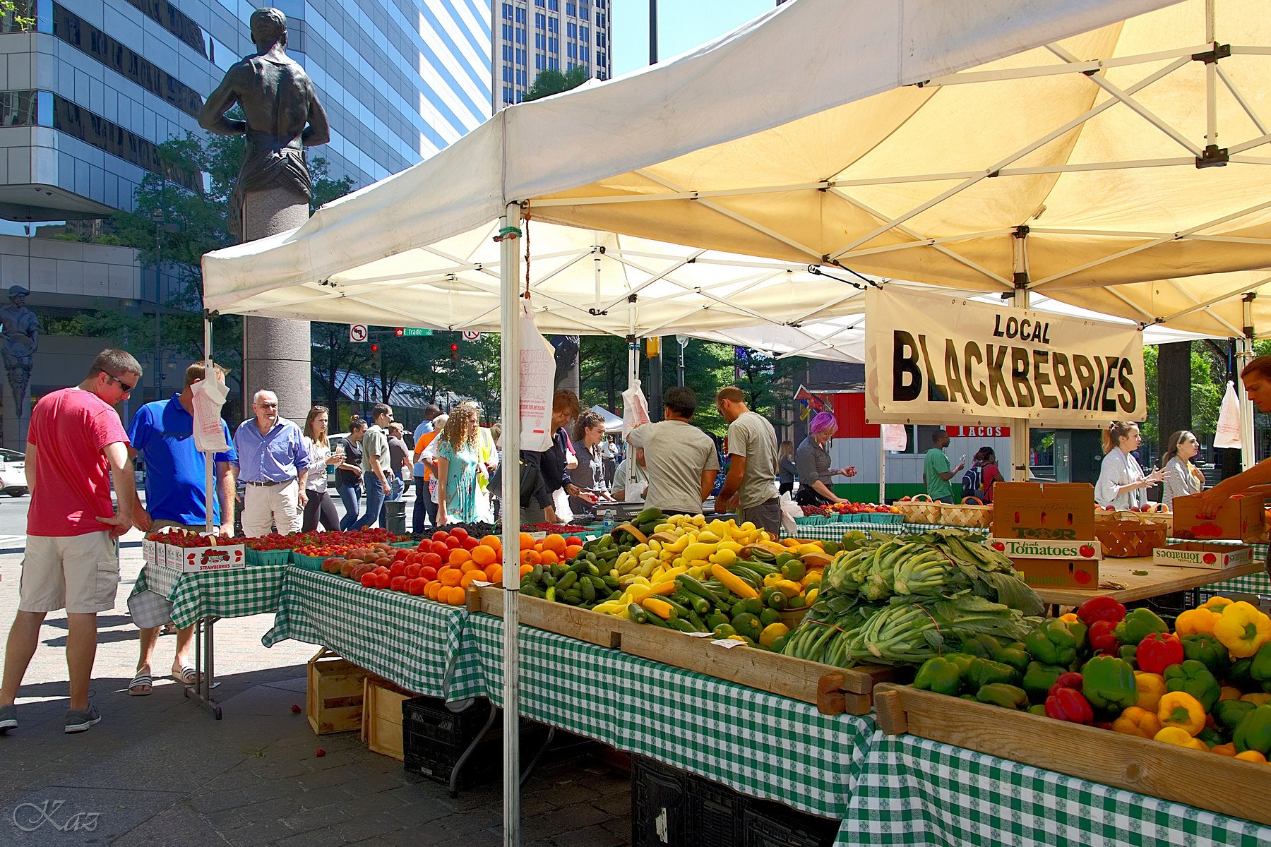 Local Farmer's Tent