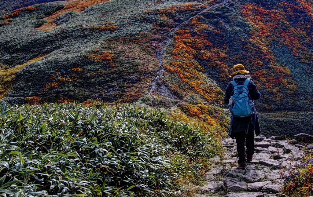 月山登山道 ！　２