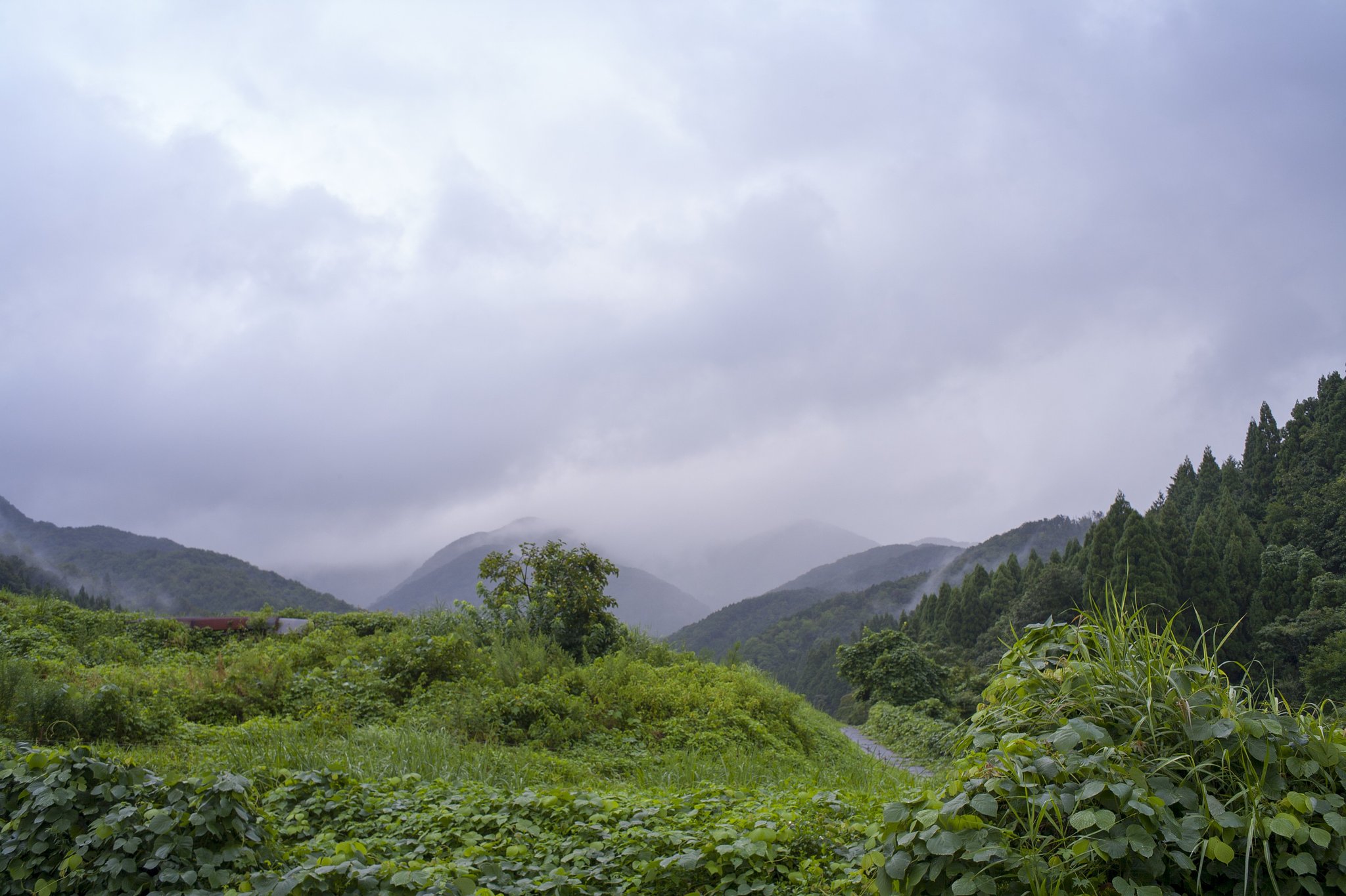 雨上がり