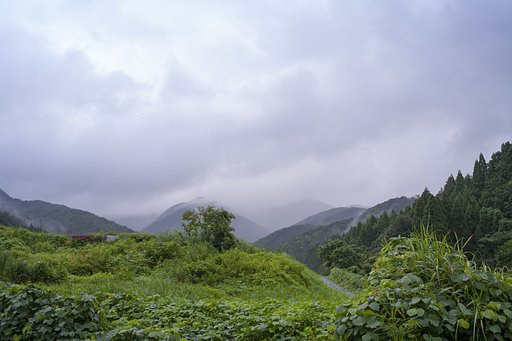 雨上がり