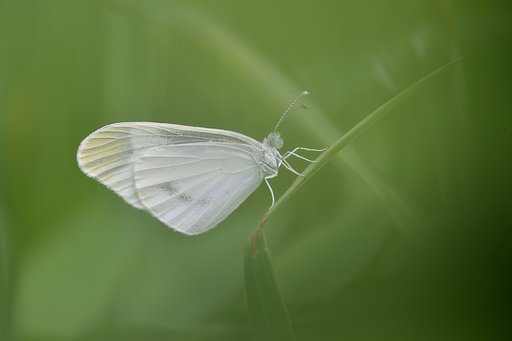 モヤっとしてますが