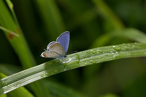 雨上がり