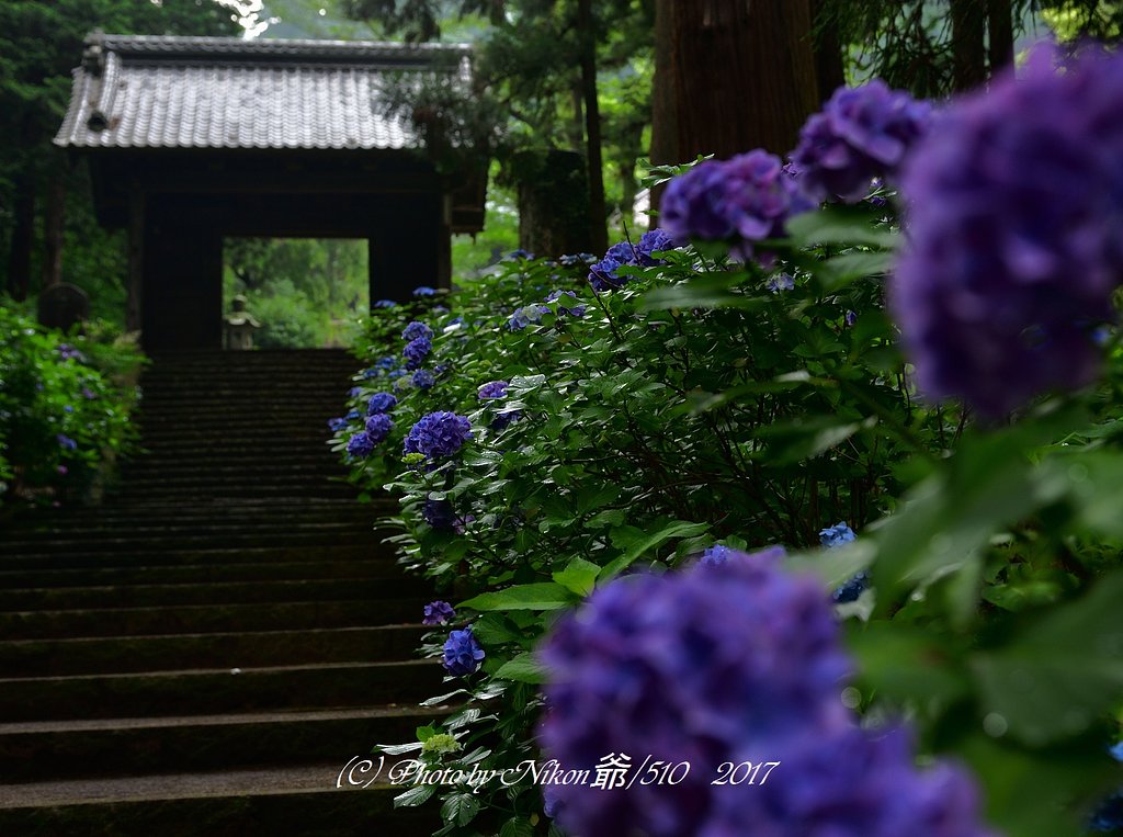 雨、そして夕刻
