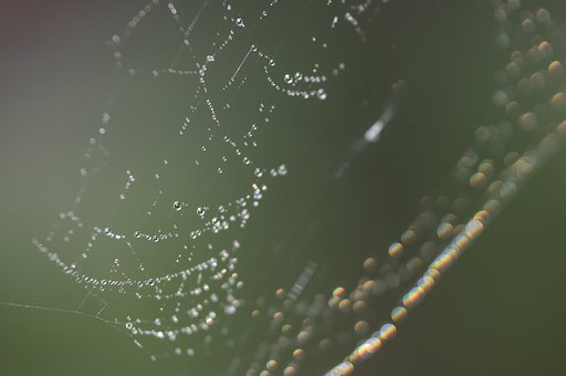 雨粒の宇宙（正）