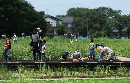 【夏】親のほうが夢中？