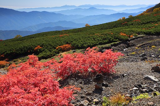 遥か山波