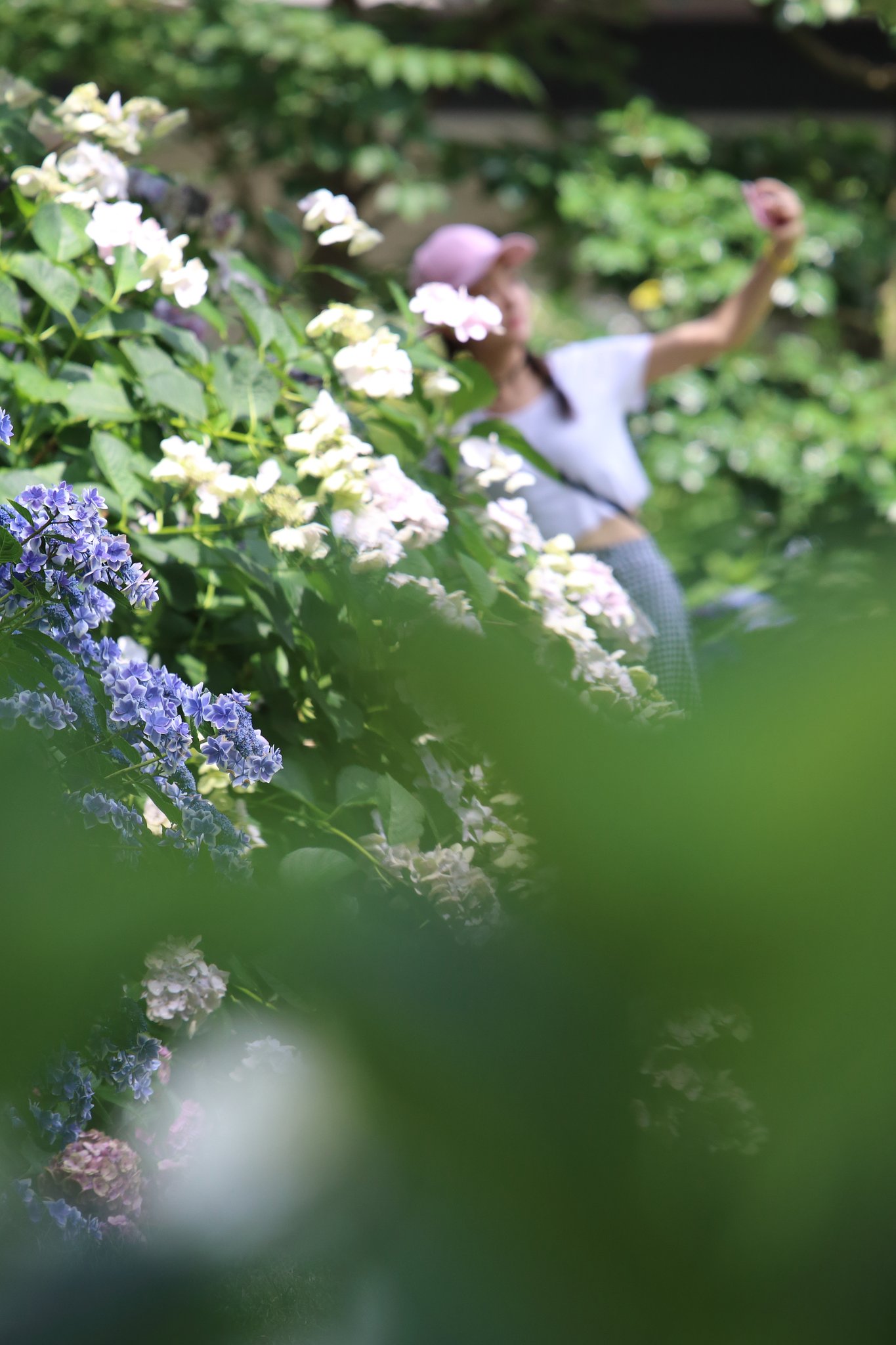美しい人つどう縮景園