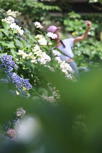 美しい人つどう縮景園