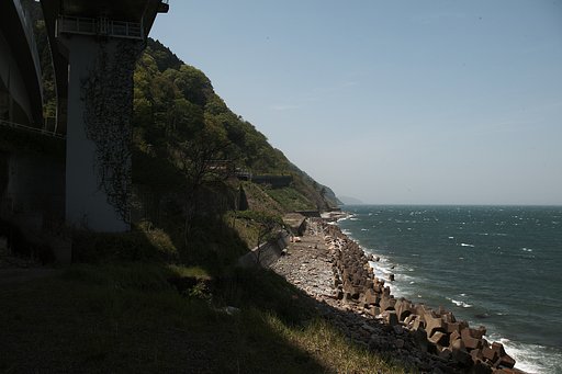 親不知