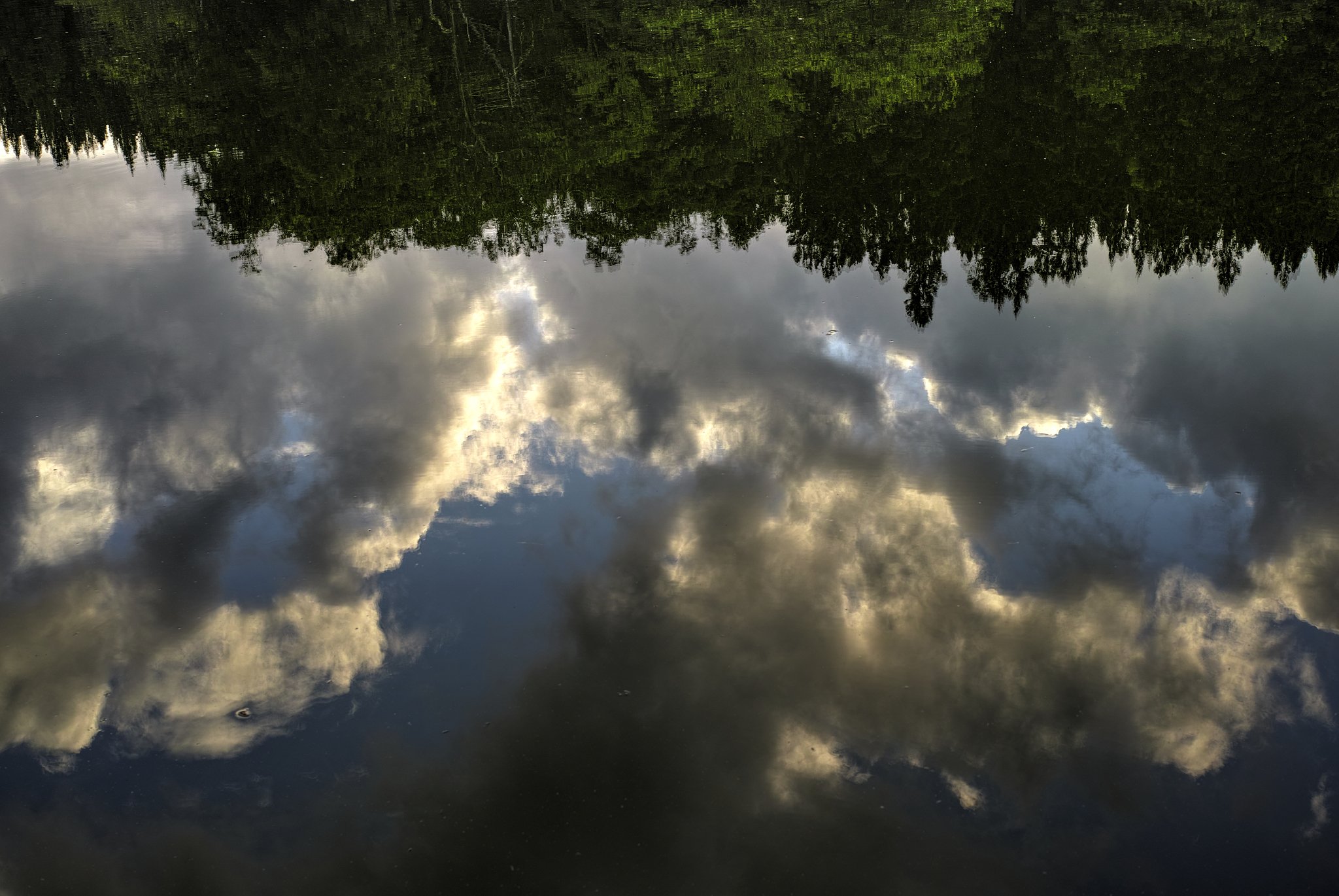 夏の雲