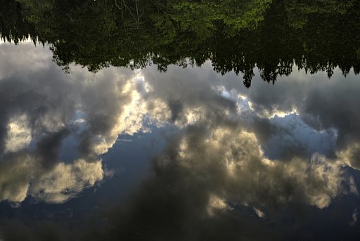 夏の雲