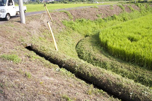 これ程暑いのに
