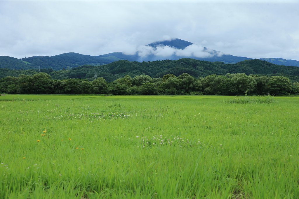岩手にて（その４）採草地