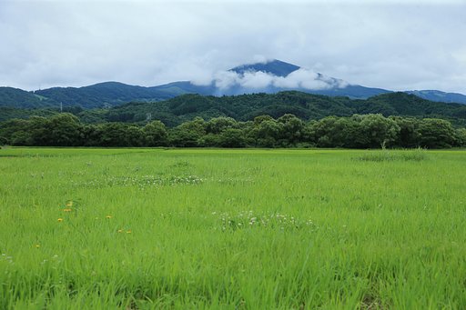 岩手にて（その４）採草地