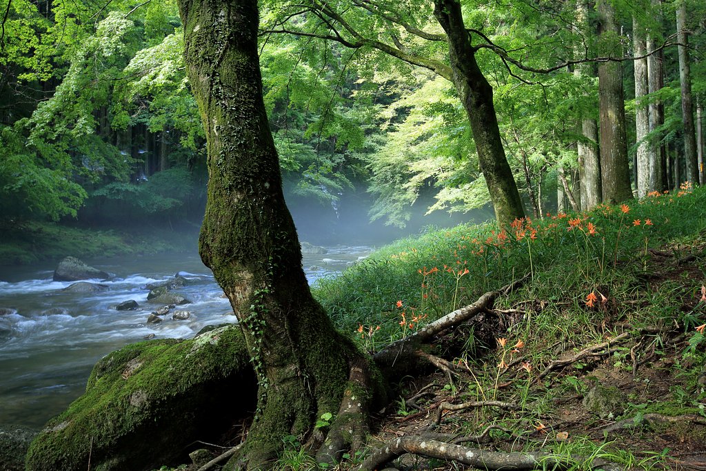川沿いで頑張る