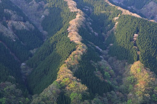 奈良の尾根 Ⅲ