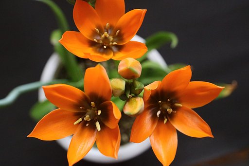 4月17日の写真