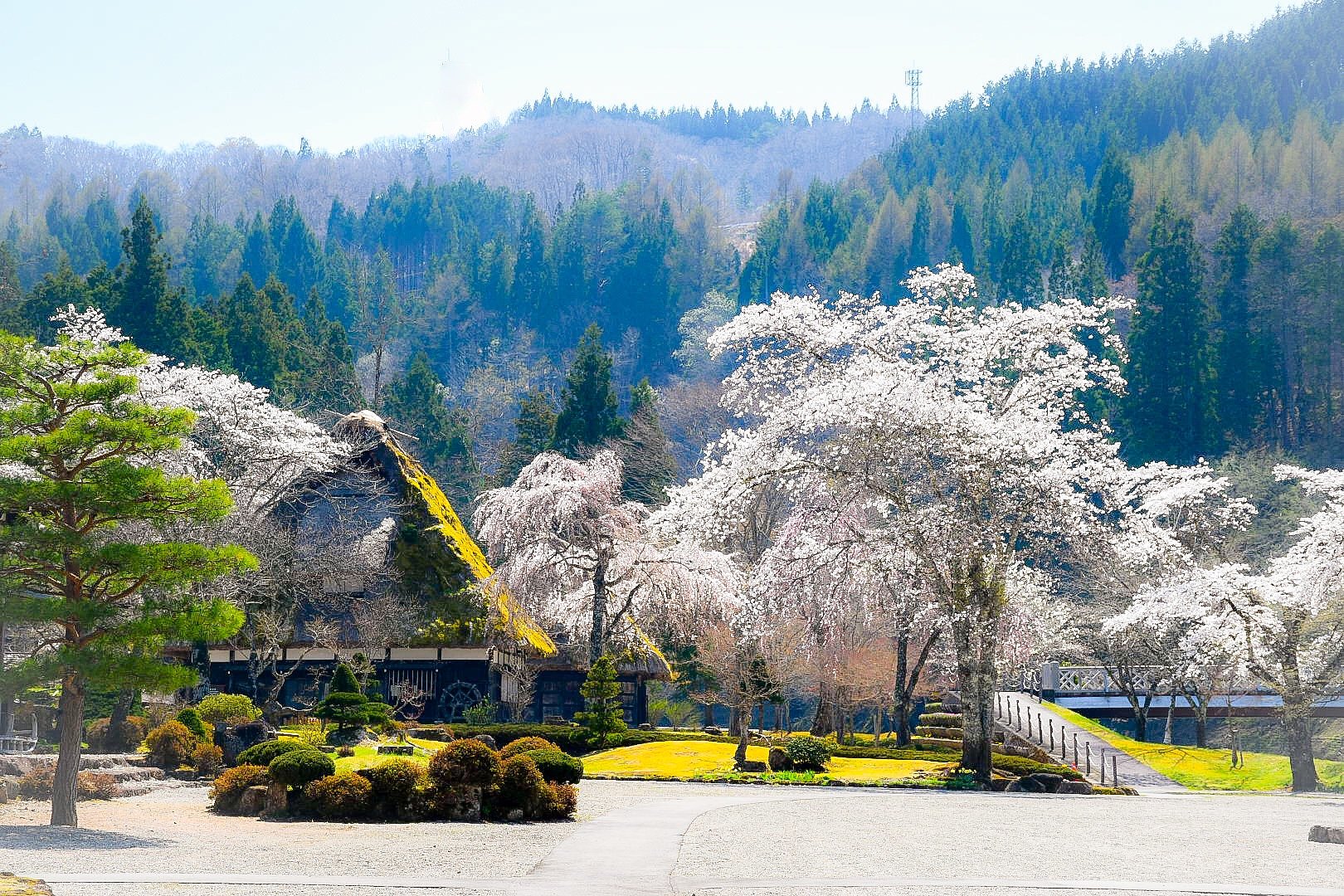 ３月春景結果発表