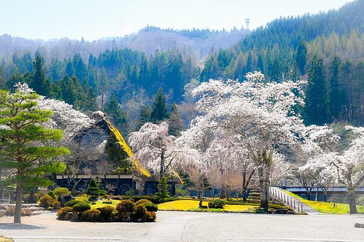 ３月春景結果発表