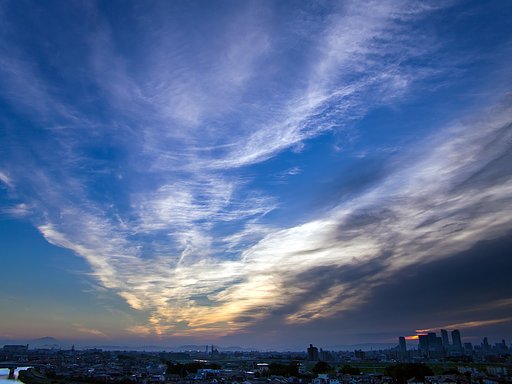 【夏】から秋へ
