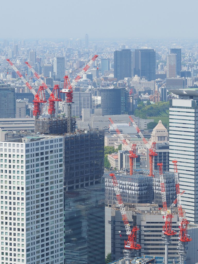 TOKYO成長日記