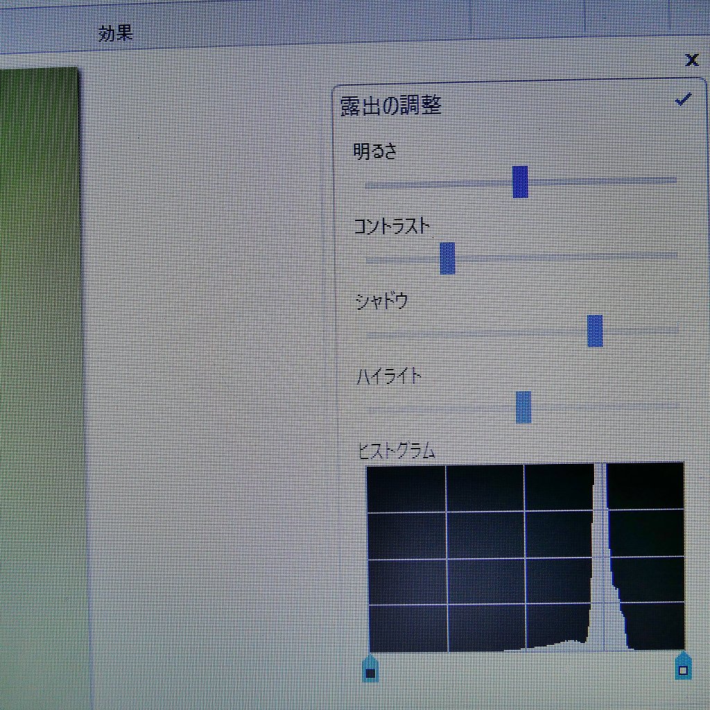 フォトギャラリー１