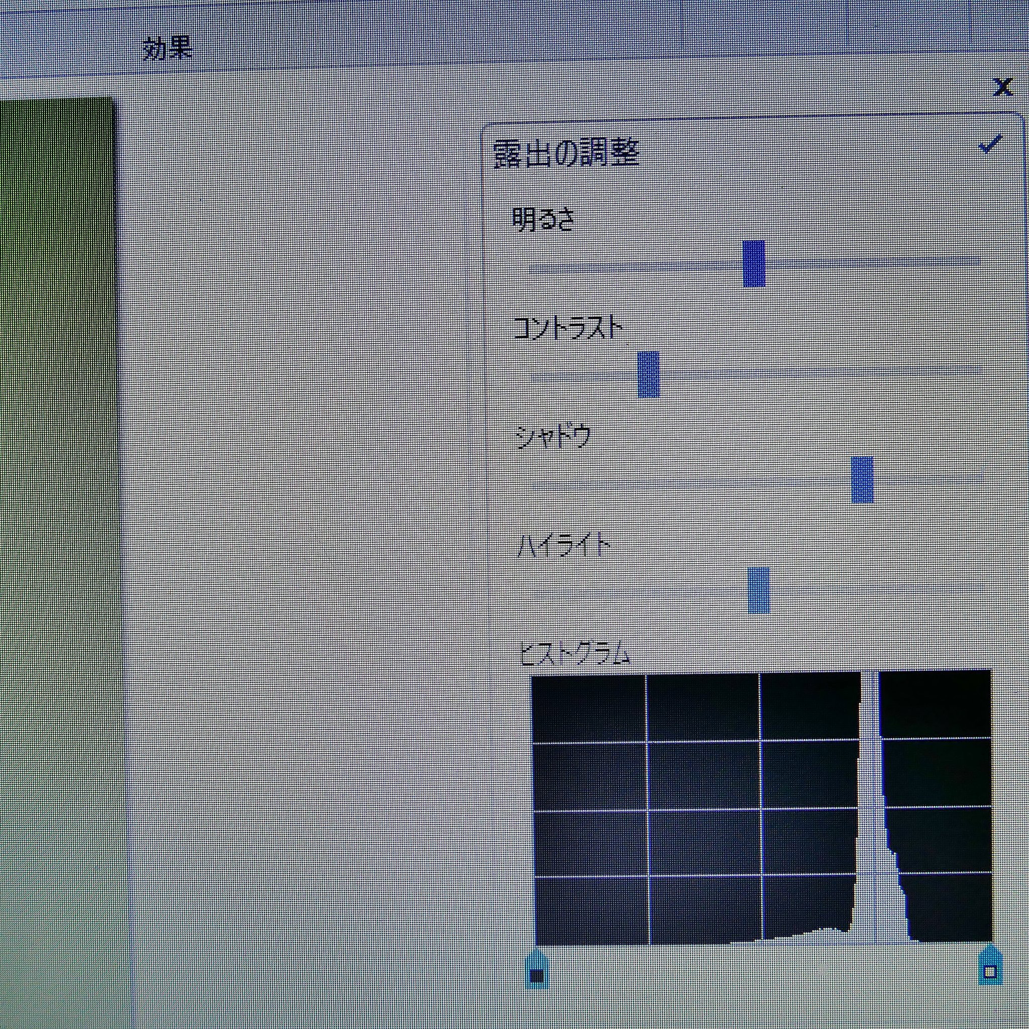 フォトギャラリー１