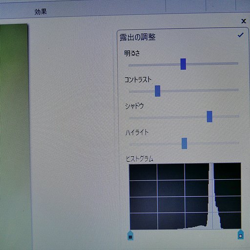 フォトギャラリー１