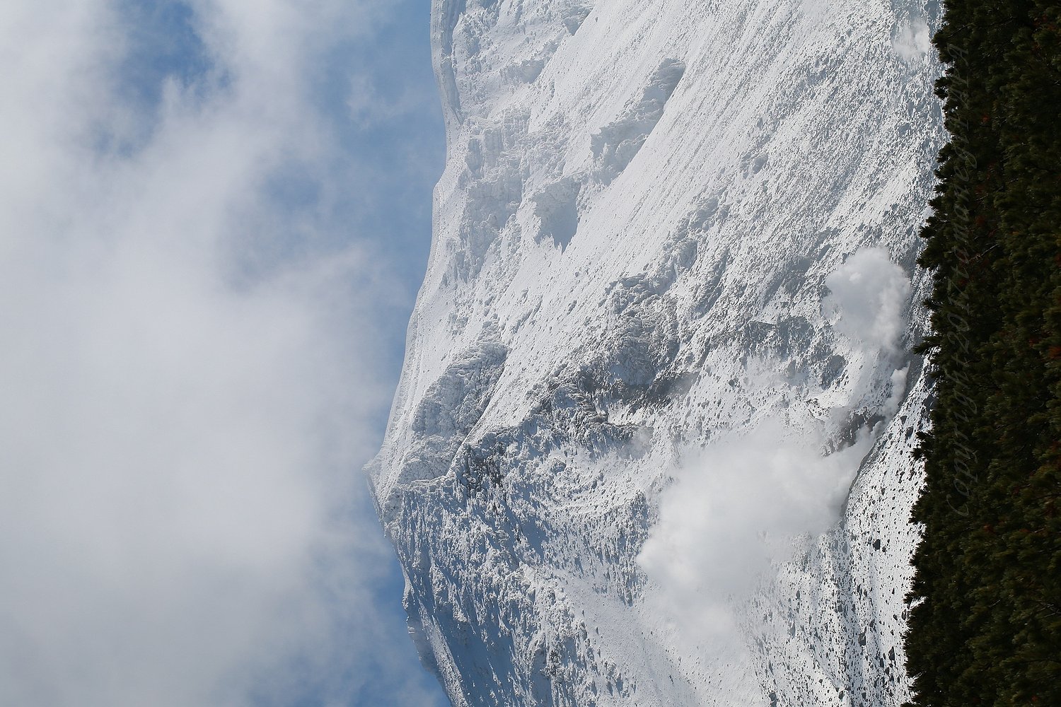 初冠雪