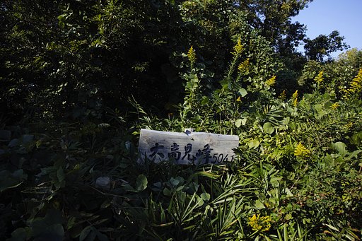 里山シリーズ