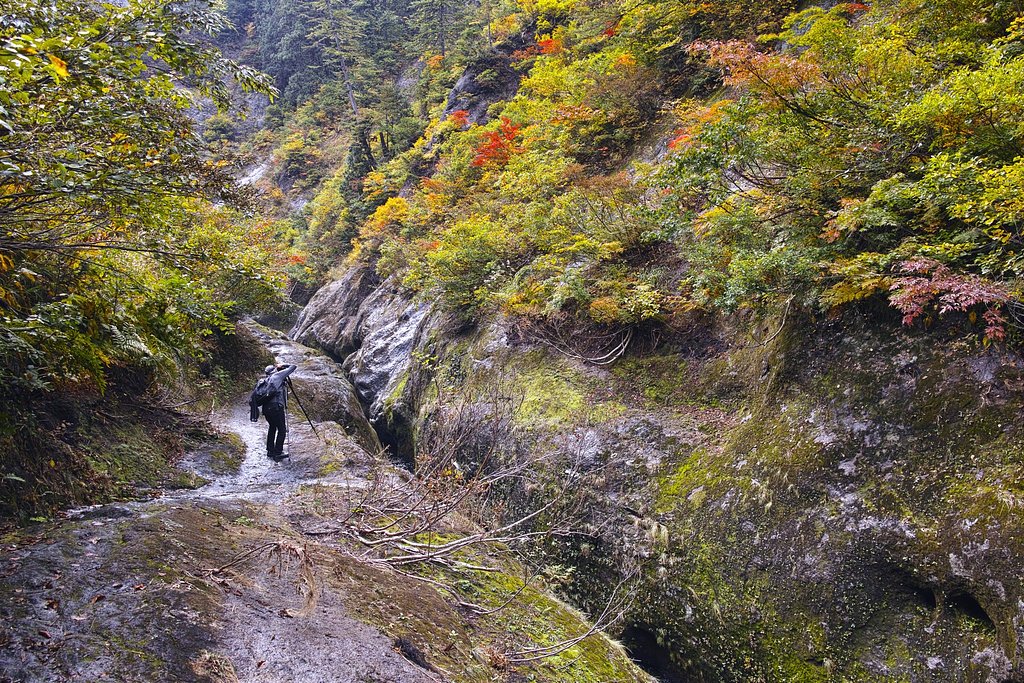 化ノ堰