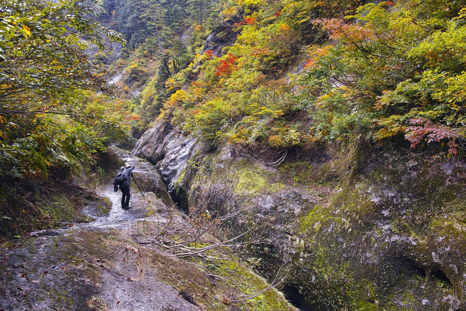 化ノ堰