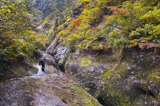 化ノ堰
