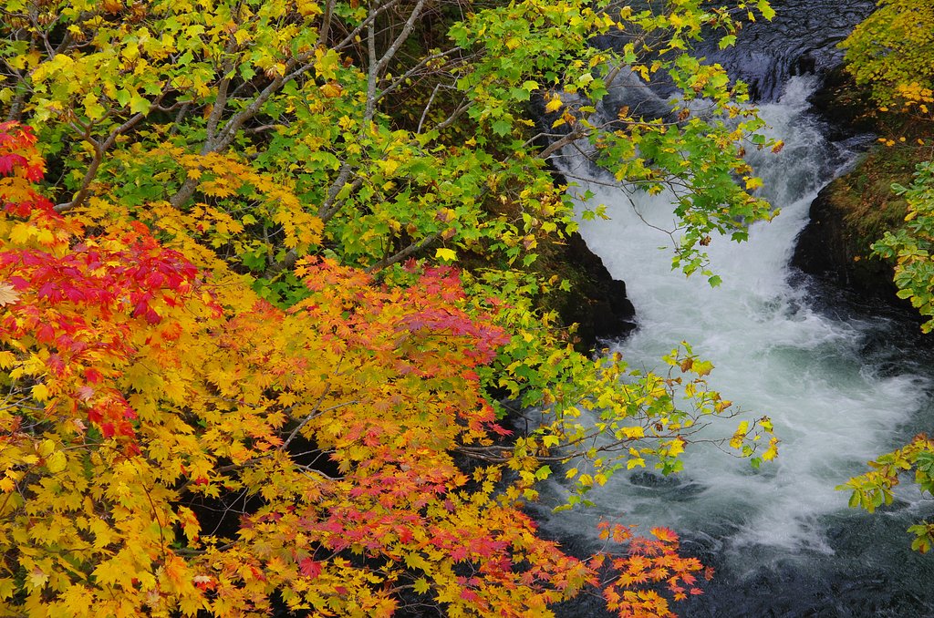 錦の滝