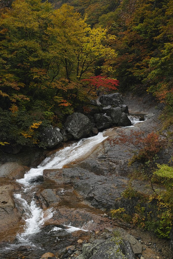 姥湯の紅葉　４