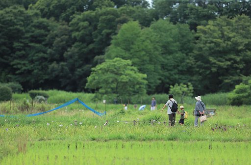 祭りのあとに・・・