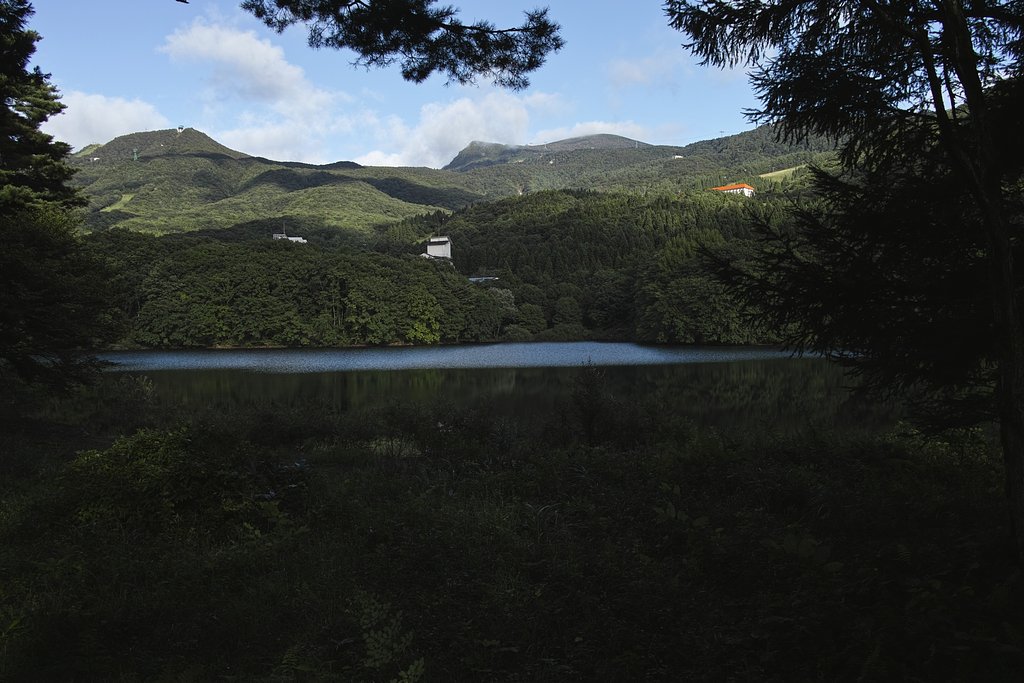 鴫の谷地沼