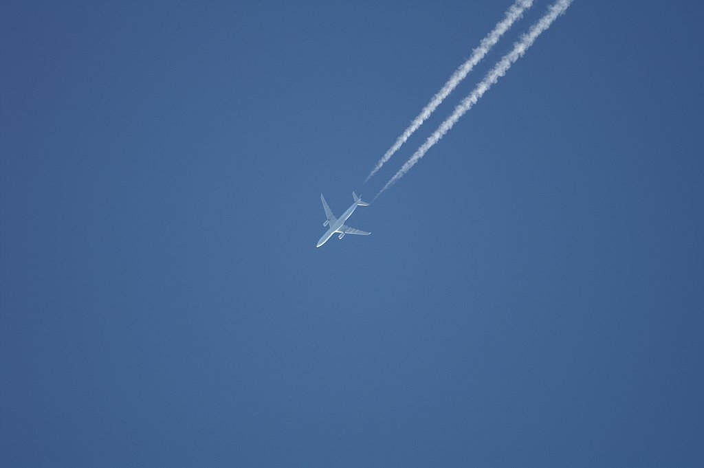 SIGMA　500mm　F4.5　APO