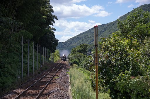 登場