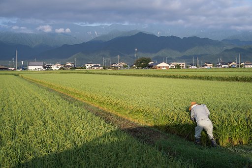 あの～、すみません・・
