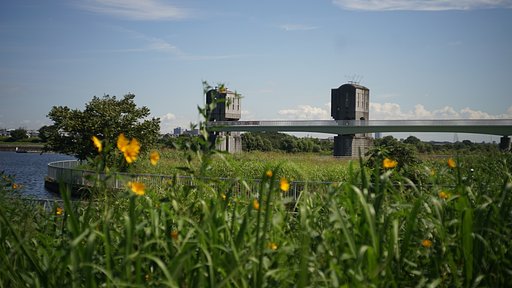 多摩川にて