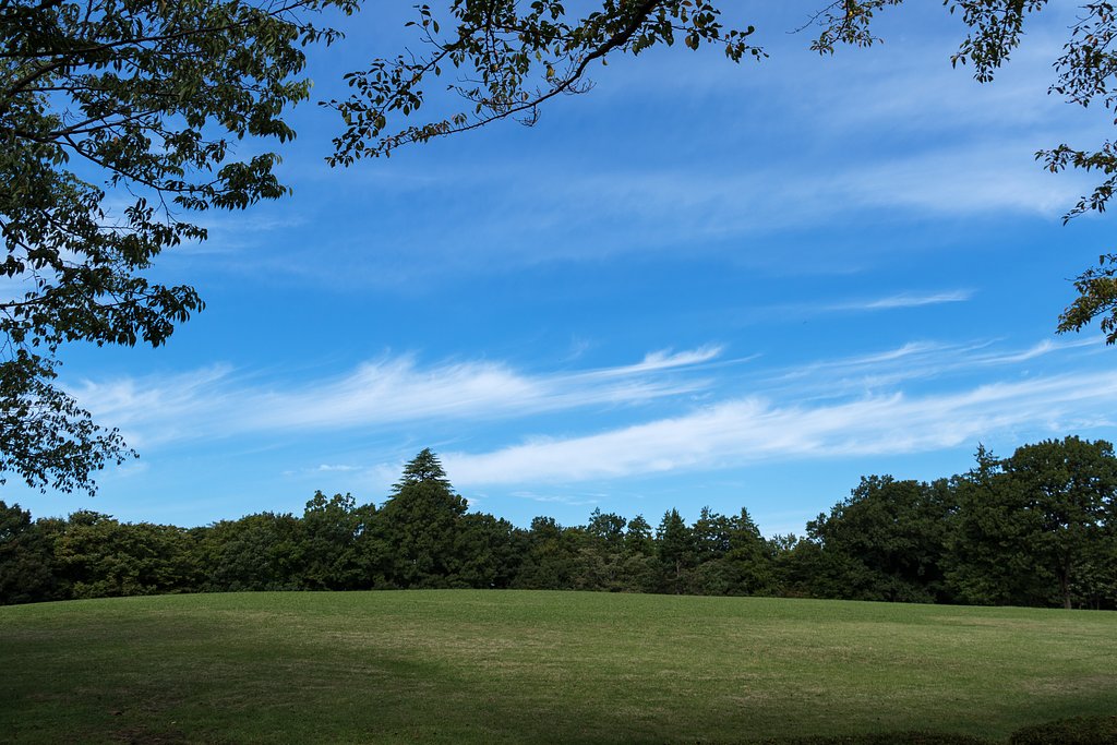 秋空