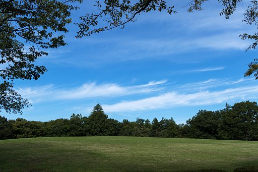 秋空