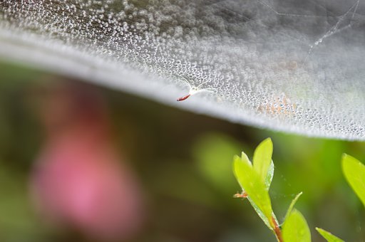 梅雨のスケッチ