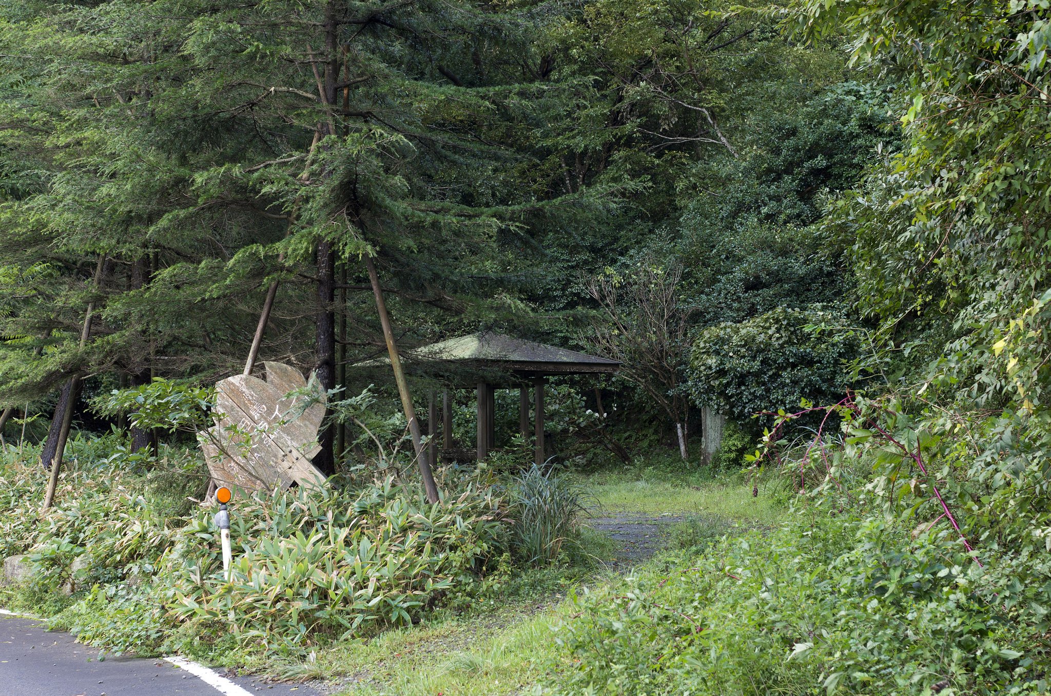 老朽化？