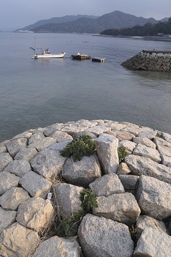 花崗岩の海岸