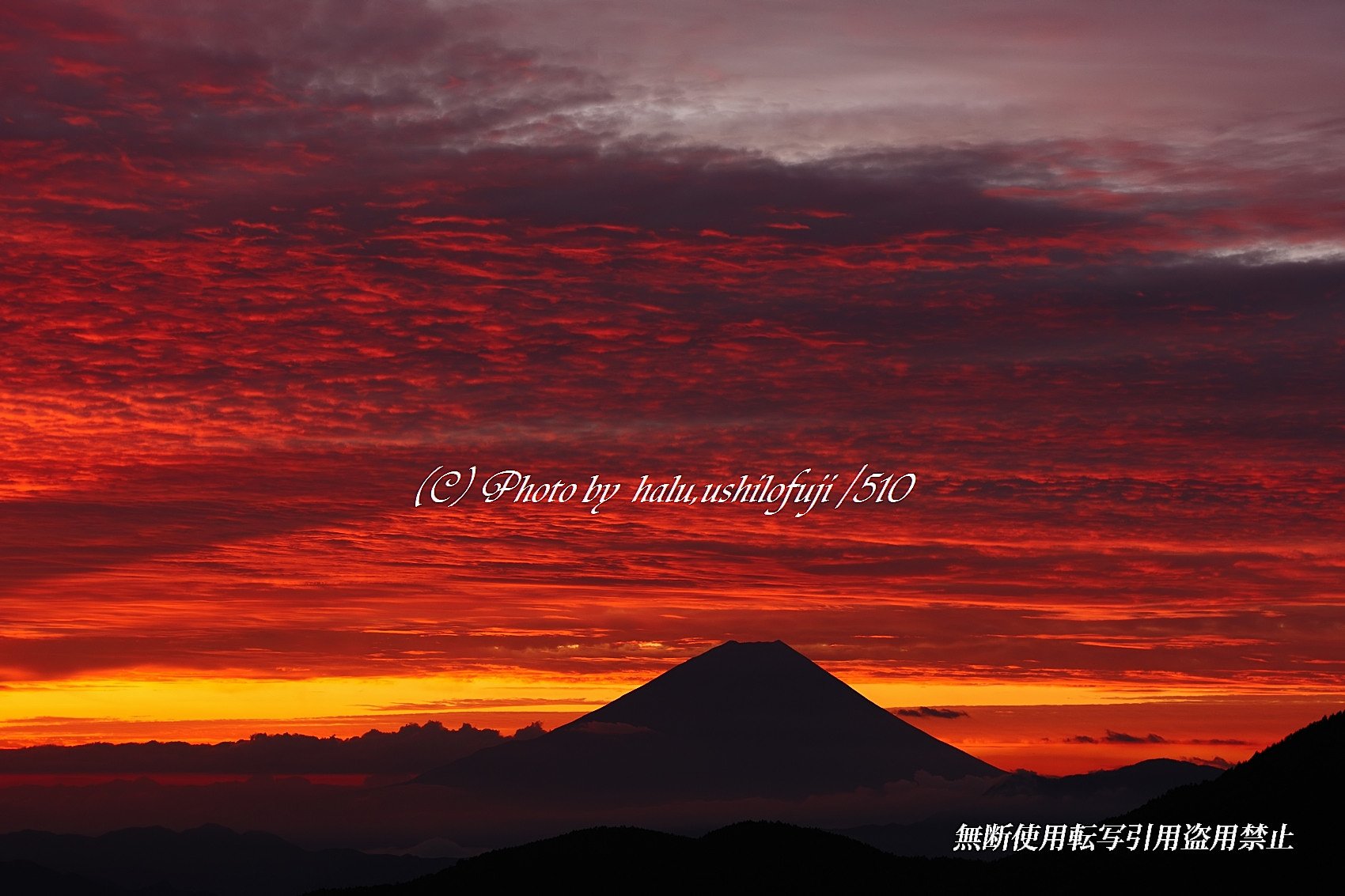 震動の朝