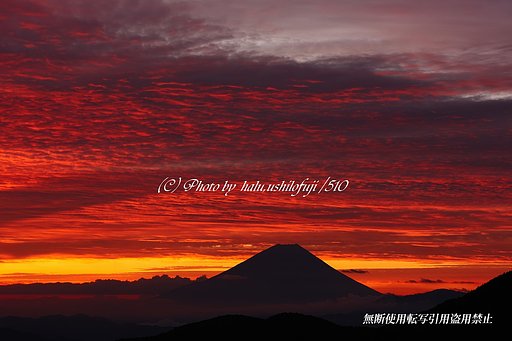 震動の朝