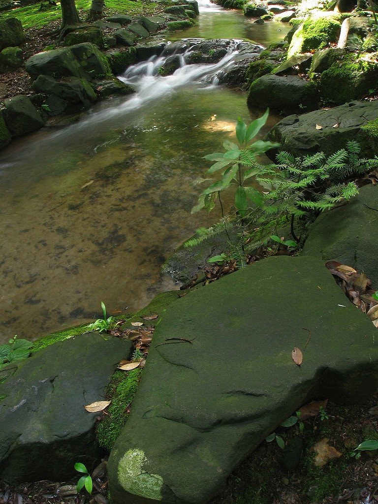 ご近所の公園