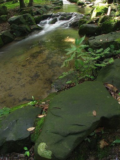 ご近所の公園